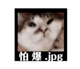 126220639
