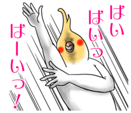 12624003