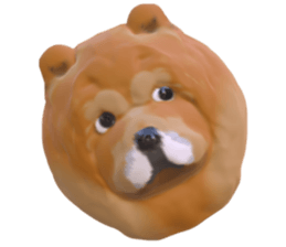 126350166