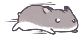 12636191