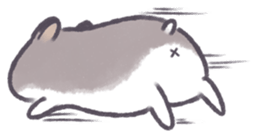 12636192