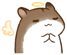 12636197