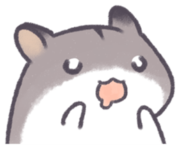 12636215