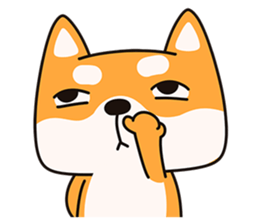 12637905