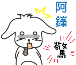 126405033