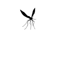 12649293
