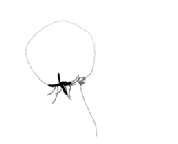 12649308