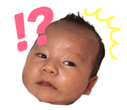 126653587