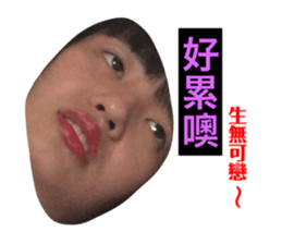 126812334