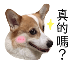 126873778