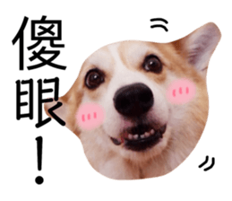 126873789