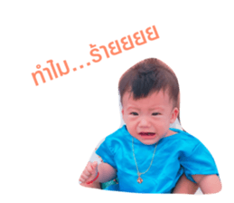 126895595