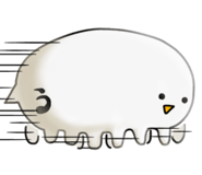 12690362