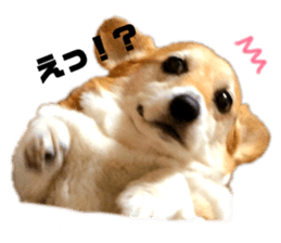 126904669