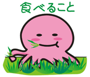 12692757