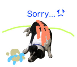 127008172
