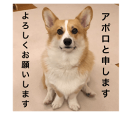 127023133
