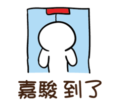 127060446