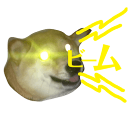 127073450