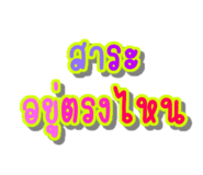 127161778