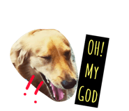 127282964
