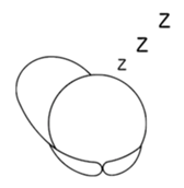 12731916