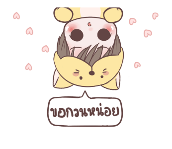 ลายที่ 11