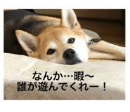 127806384