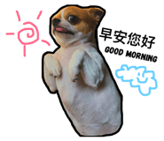 127850047