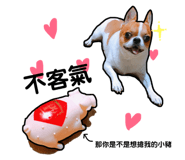 127850052