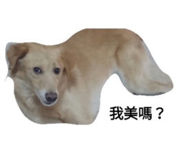 127858745