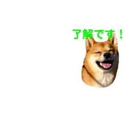 127881833