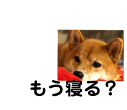 127881835