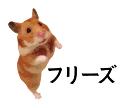 12789352