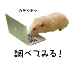 12789353