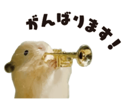 12789354