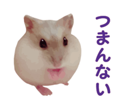 12789366
