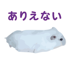 12789371