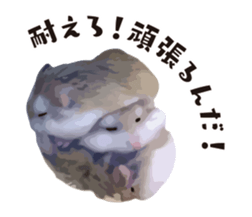 12789373