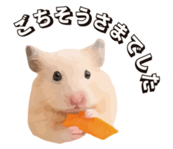 12789377
