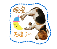 127895956