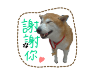 127895960