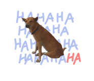127895997