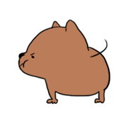 12794738