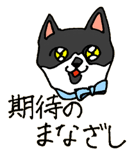 12798498