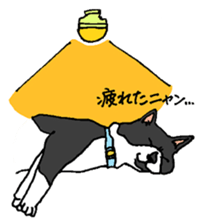 12798503