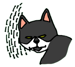 12798516