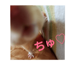 128072319
