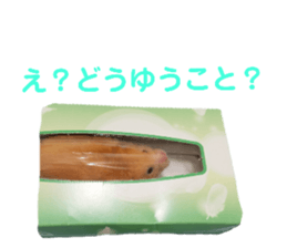 128072323