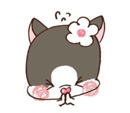 1280906